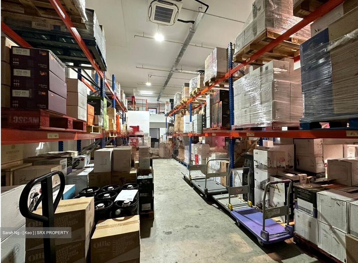 North View Bizhub (D27), Factory #485990641